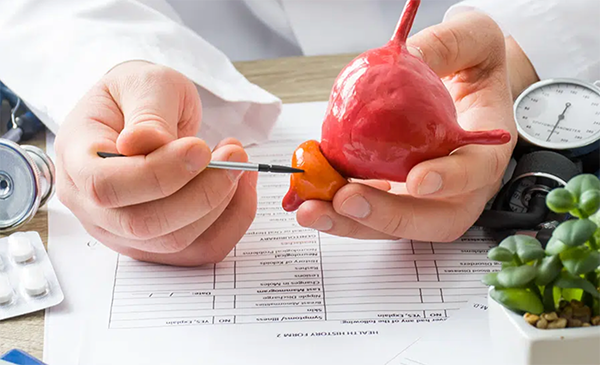 Día Mundial del Cáncer de Próstata