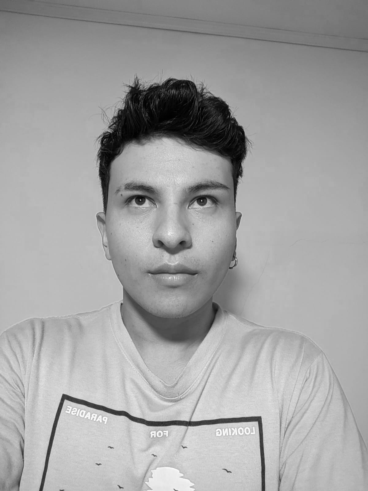 Por: David Felipe Gómez Ortiz. Sexto semestre Comunicación Social.