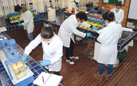 Docente Departamento de Química y Bioquímica - Sede Tunja